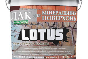 Лак акриловый для минеральных поверхностей Мокрый камень LOTUS прозрачный 10л