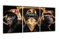Модульна картина Декор Карпати у вітальню /спальню для інтер'єру Три мудрі мавпи у золоті 70x150 см MK30214_В