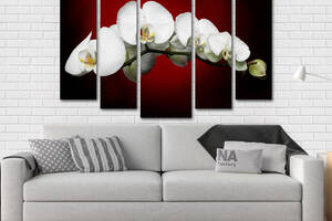 Модульная картина Poster-land Белая орхидея Art-127_5