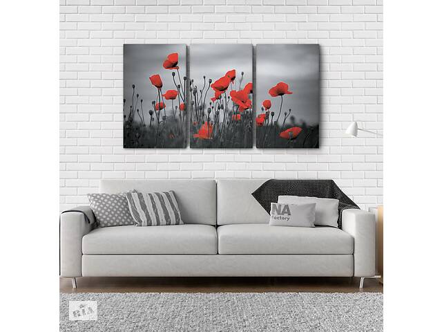 Модульна картина Poster-land Квіти Маки Аrt-215_3А