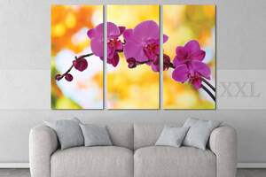 Модульная картина Poster-land Цветы Орхидея Art-136_XXL