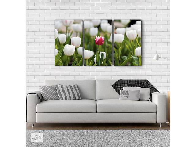 Модульна картина Poster-land Квіти Тюльпани Аrt-134_3А