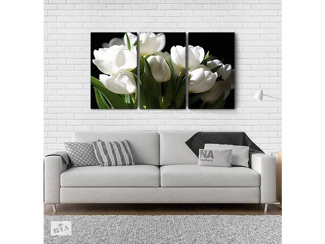 Модульна картина Poster-land Квіти Тюльпани Art-4_3А