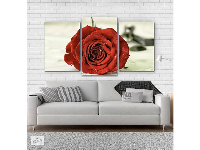Модульна картина Poster-land Троянда Квіти Art-27_3