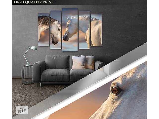 Модульна картина Poster-land у вітальню / спальню Пара ніжних коней Art-465_5 ( 80х118см ) Poster-land