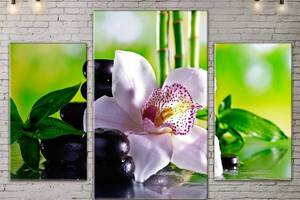 Модульная картина ArtStar цветы ADFL0109 размер 70 х 105 см