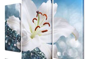 Модульная картина ArtStar цветы ADFL0185 размер 55 х 70 см