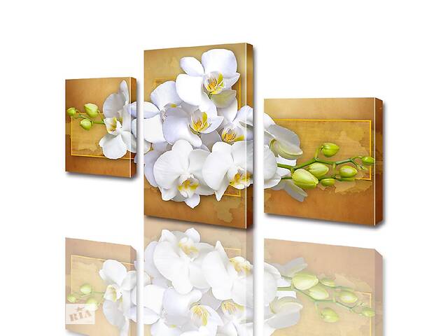 Модульная картина ArtStar цветы Белая Орхидея ADFL0008 размер 120 х 180 см