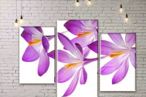 Модульная картина ArtStar цветы Крокусы ADFL0059 размер 70 х 105 см