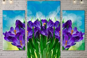 Модульная картина ArtStar цветы Крокусы ADFL0093 размер 70 х 105 см