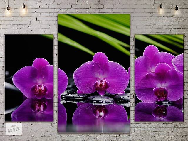 Модульная картина ArtStar цветы Орхидеи ADFL0117 размер 70 х 105 см
