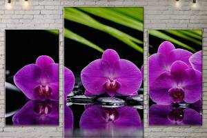Модульная картина ArtStar цветы Орхидеи ADFL0117 размер 120 х 180 см