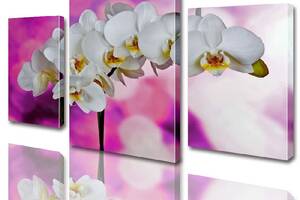 Модульная картина ArtStar цветы Орхидея ADFL0011 размер 70 х 105 см