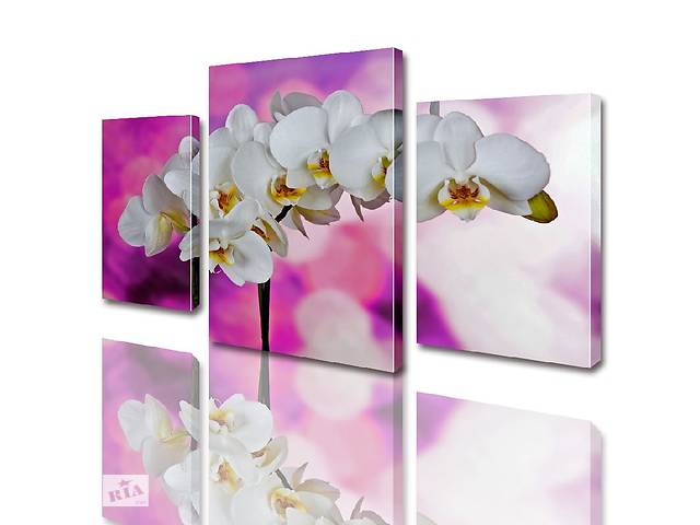 Модульная картина ArtStar цветы Орхидея ADFL0011 размер 120 х 180 см