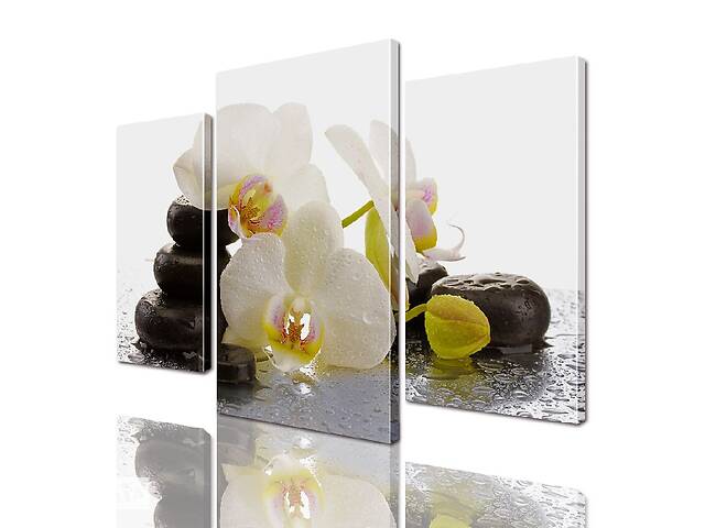 Модульная картина ArtStar цветы Орхидея ADFL0028 размер 70 х 105 см