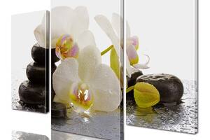 Модульная картина ArtStar цветы Орхидея ADFL0028 размер 120 х 180 см