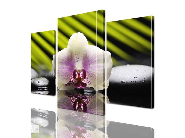Модульная картина ArtStar цветы Орхидея ADFL0040 размер 120 х 180 см