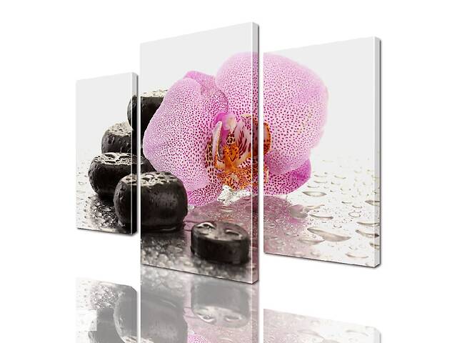 Модульная картина ArtStar цветы Орхидея ADFL0042 размер 120 х 180 см
