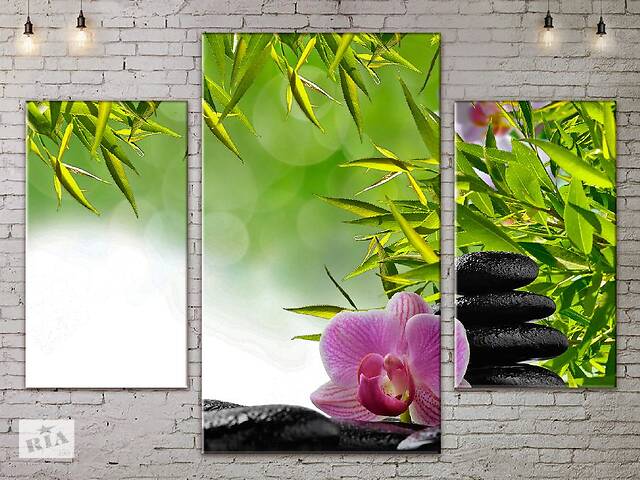 Модульная картина ArtStar цветы Орхидея ADFL0071 размер 70 х 105 см