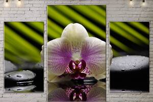 Модульная картина ArtStar цветы Орхидея ADFL0079 размер 70 х 105 см