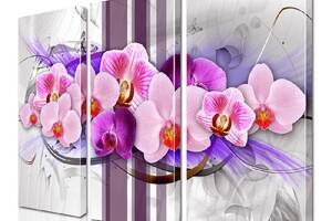 Модульная картина ArtStar цветы Орхидея ADFL0135 размер 55 х 70 см
