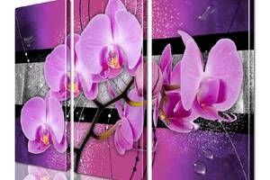 Модульная картина ArtStar цветы Орхидея ADFL0139 размер 55 х 70 см