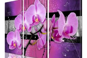 Модульная картина ArtStar цветы Орхидея ADFL0139 размер 150 х 180 см