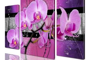 Модульная картина ArtStar цветы Орхидея ADFL0140 размер 95 х 120 см