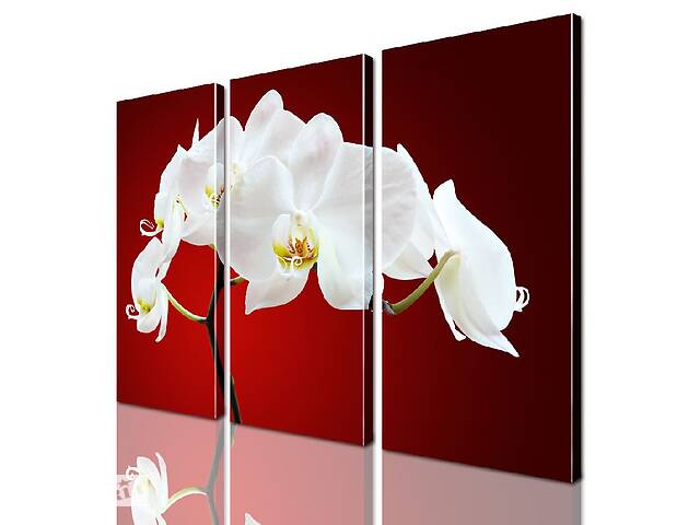 Модульная картина ArtStar цветы Орхидея ADFL0146 размер 150 х 180 см