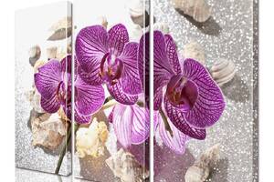 Модульная картина ArtStar цветы Орхидея ADFL0150 размер 55 х 70 см