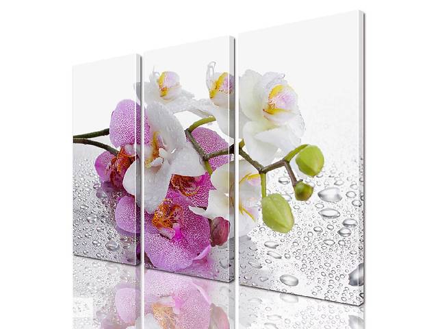 Модульная картина ArtStar цветы Орхидея ADFL0152 размер 150 х 180 см