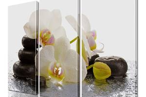 Модульная картина ArtStar цветы Орхидея ADFL0156 размер 55 х 70 см