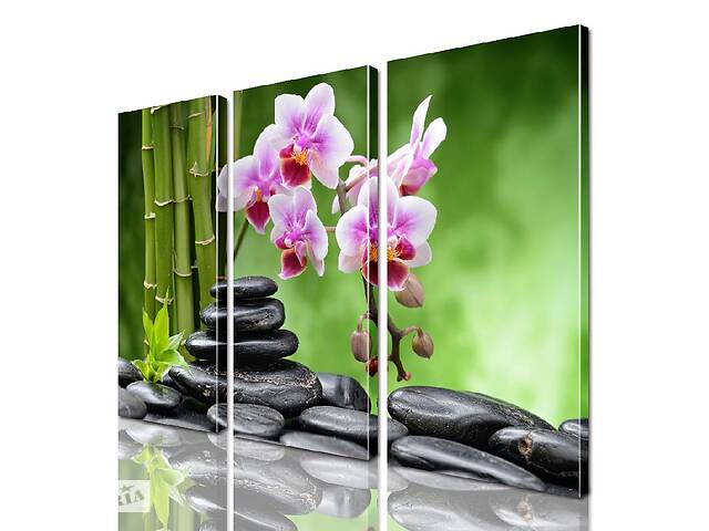 Модульная картина ArtStar цветы Орхидея ADFL0174 размер 150 х 180 см
