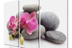 Модульная картина ArtStar цветы Орхидея ADFL0186 размер 55 х 70 см