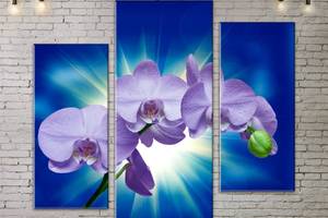Модульная картина ArtStar цветы Орхидея ADFL0202 размер 55 х 70 см