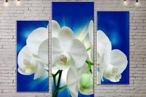 Модульная картина ArtStar цветы Орхидея ADFL0206 размер 55 х 70 см