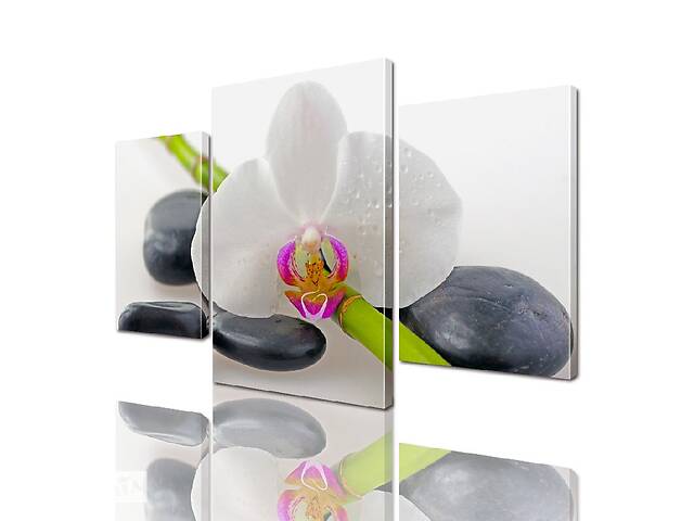 Модульная картина ArtStar цветы Орхидея на камнях ADFL0016 размер 120 х 180 см