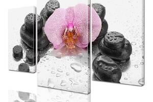 Модульная картина ArtStar цветы Орхидея с Черными камнями ADFL0026 размер 120 х 180 см