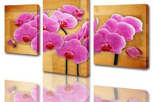 Модульная картина ArtStar цветы Розовая Орхидея ADFL0004 размер 70 х 105 см
