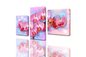 Модульная картина ArtStar цветы Розовая Орхидея ADFL0006 размер 70 х 105 см
