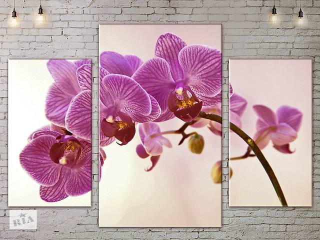 Модульная картина ArtStar цветы Розовая Орхидея ADFL0083 размер 120 х 180 см