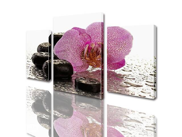 Модульная картина ArtStar цветы Розовая Орхидея на камнях ADFL0010 размер 120 х 180 см