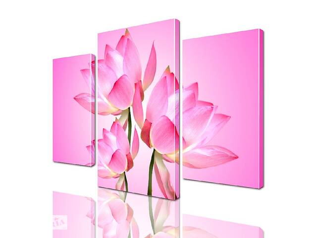 Модульная картина ArtStar цветы Розовые Лилии ADFL0020 размер 70 х 105 см