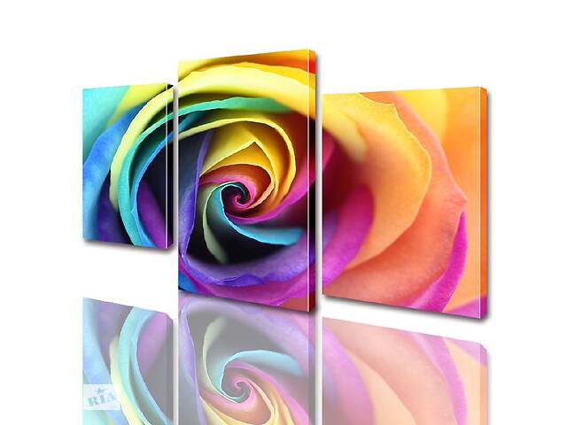 Модульная картина ArtStar цветы Цветная Роза ADFL0012 размер 70 х 105 см