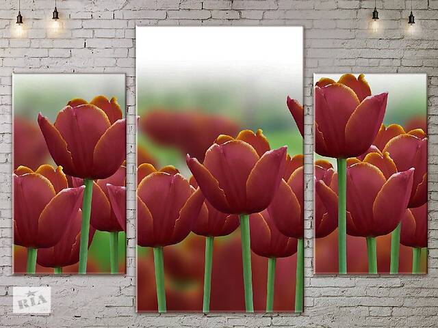 Модульная картина ArtStar цветы Тюльпаны ADFL0073 размер 70 х 105 см