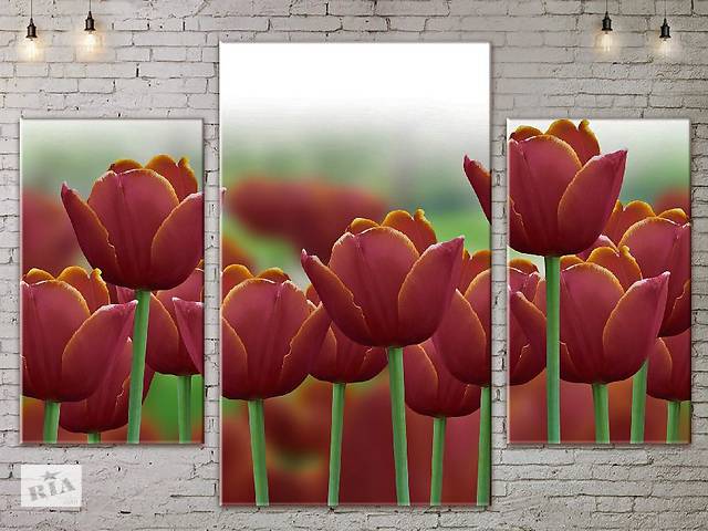 Модульная картина ArtStar цветы Тюльпаны ADFL0073 размер 120 х 180 см
