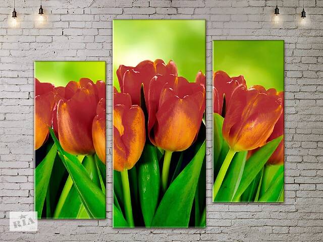 Модульная картина ArtStar цветы Тюльпаны ADFL0125 размер 120 х 180 см