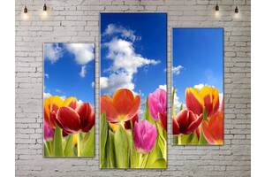 Модульная картина ArtStar цветы Тюльпаны ADFL0200 размер 95 х 120 см