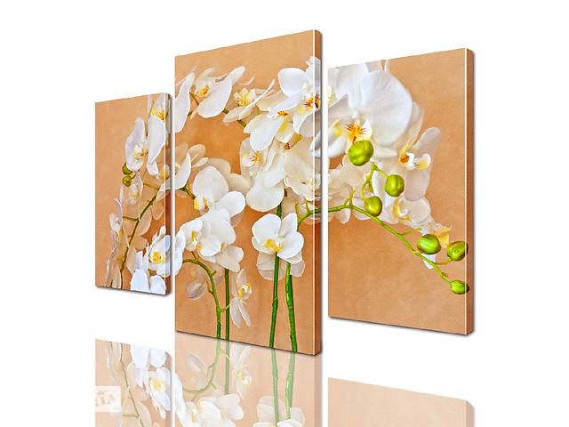 Модульная картина ArtStar цветы Ветки Орхидеи ADFL0032 размер 70 х 105 см