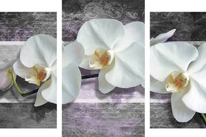 Модульная картина Декор Карпаты 100х53 см Белые орхидеи (M3-454 х3)